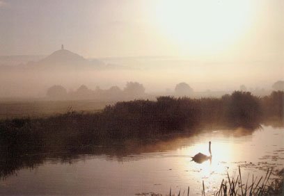 Swan-in-mist Swan on misty Brue